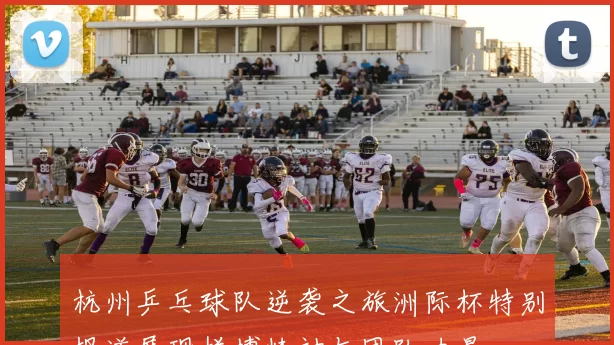 杭州乒乓球队逆袭之旅洲际杯特别报道展现拼搏精神与团队力量
