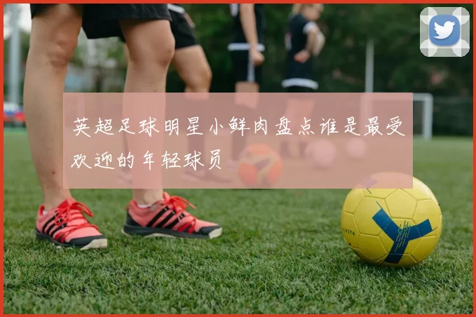 英超足球明星小鲜肉盘点谁是最受欢迎的年轻球员