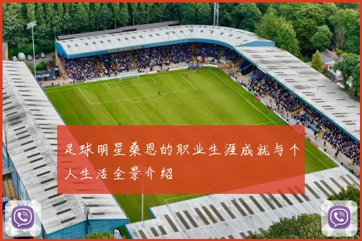 足球明星桑恩的职业生涯成就与个人生活全景介绍