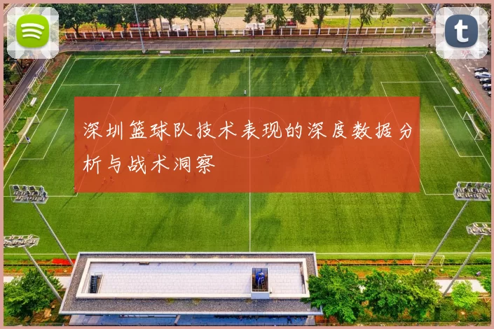 深圳篮球队技术表现的深度数据分析与战术洞察