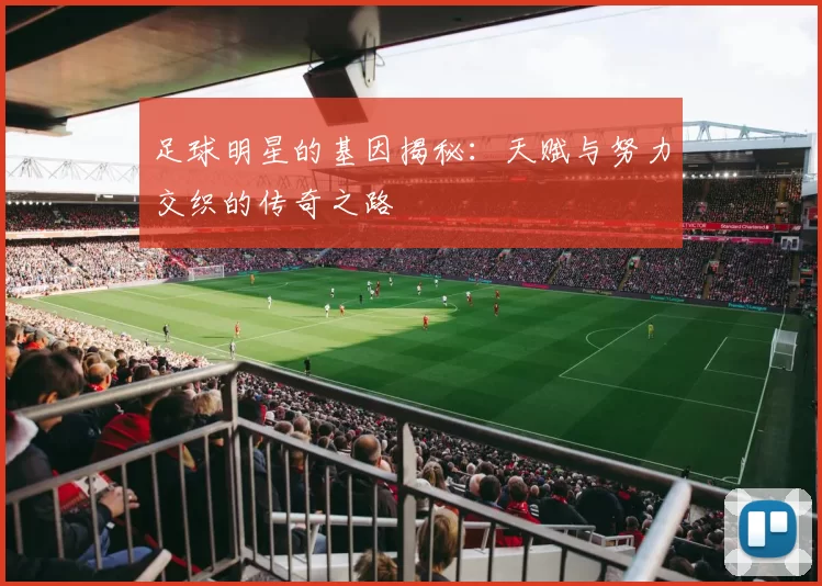 足球明星的基因揭秘：天赋与努力交织的传奇之路