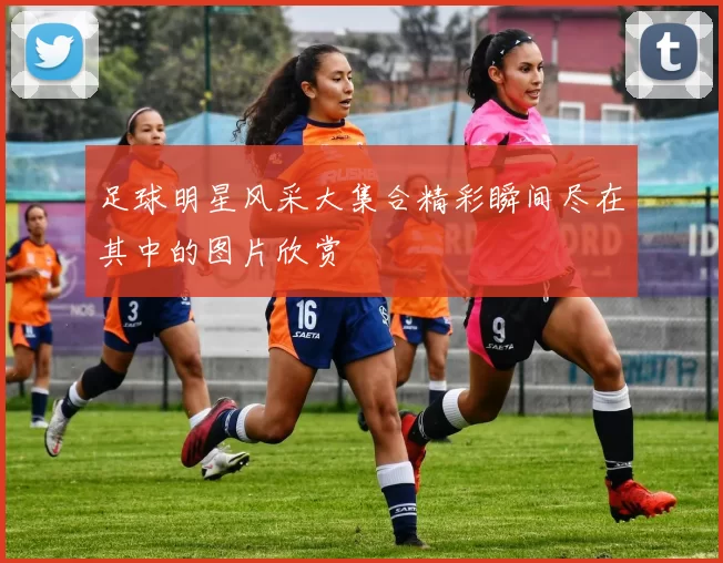 足球明星风采大集合精彩瞬间尽在其中的图片欣赏
