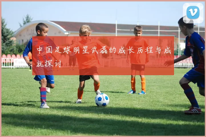 中国足球明星武磊的成长历程与成就探讨