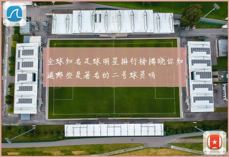 全球知名足球明星排行榜揭晓你知道哪些是著名的二号球员吗