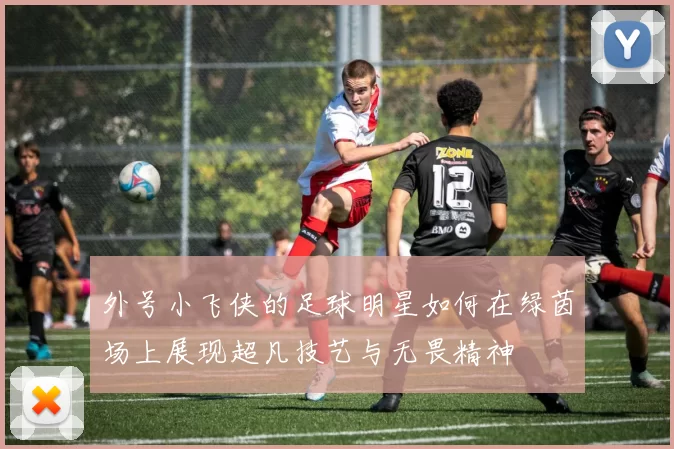 外号小飞侠的足球明星如何在绿茵场上展现超凡技艺与无畏精神