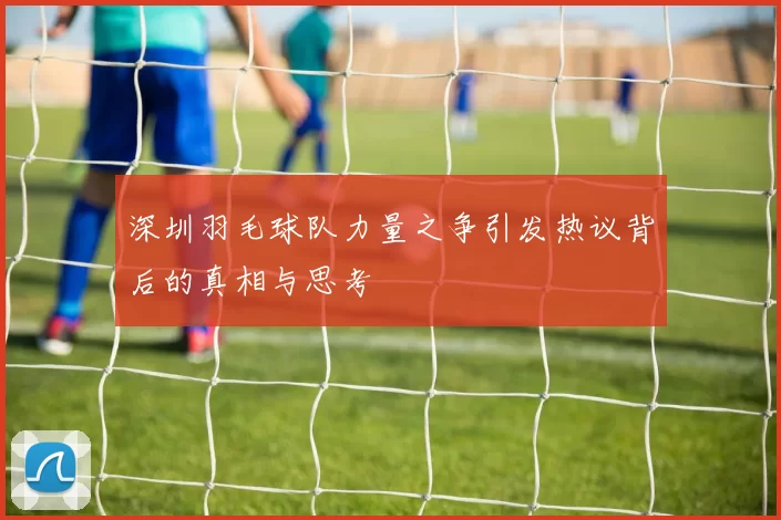 深圳羽毛球队力量之争引发热议背后的真相与思考