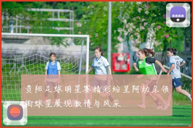 贵阳足球明星赛精彩纷呈阿幼朵领衔球星展现激情与风采
