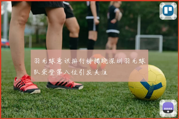 羽毛球意识排行榜揭晓深圳羽毛球队荣登第八位引发关注