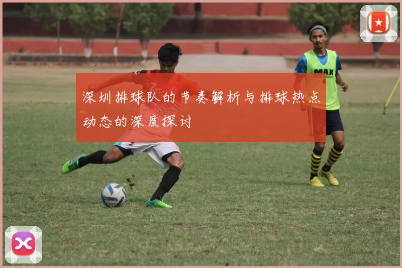 深圳排球队的节奏解析与排球热点动态的深度探讨