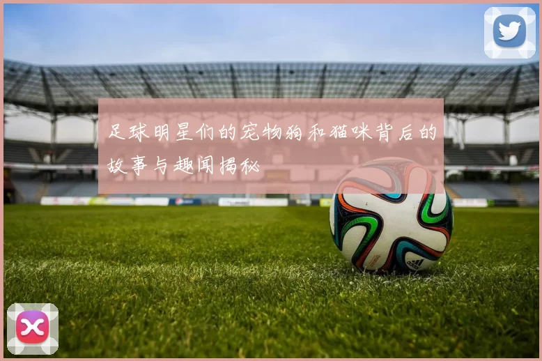 足球明星们的宠物狗和猫咪背后的故事与趣闻揭秘