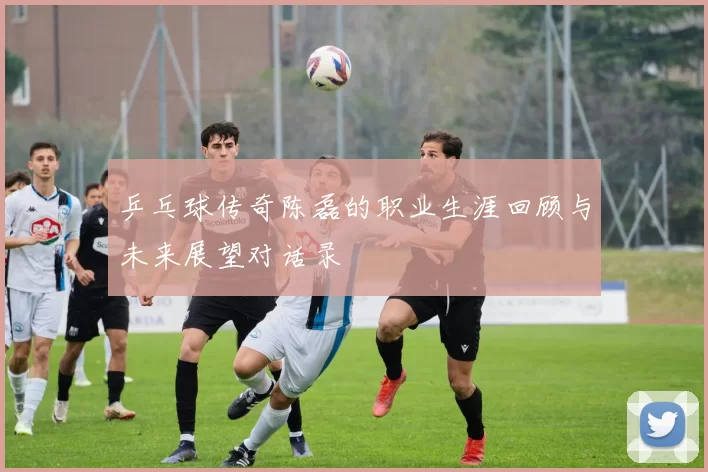 乒乓球传奇陈磊的职业生涯回顾与未来展望对话录