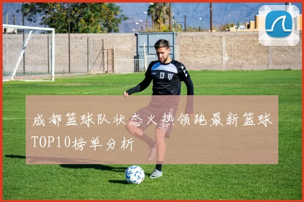 成都篮球队状态火热领跑最新篮球TOP10榜单分析