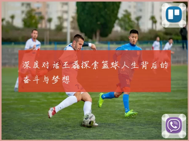 深度对话王磊探索篮球人生背后的奋斗与梦想