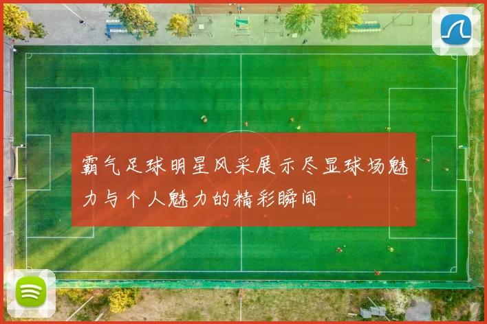 霸气足球明星风采展示尽显球场魅力与个人魅力的精彩瞬间