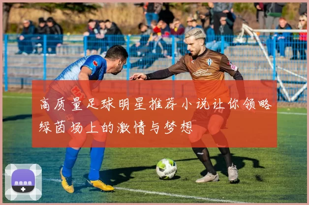 高质量足球明星推荐小说让你领略绿茵场上的激情与梦想