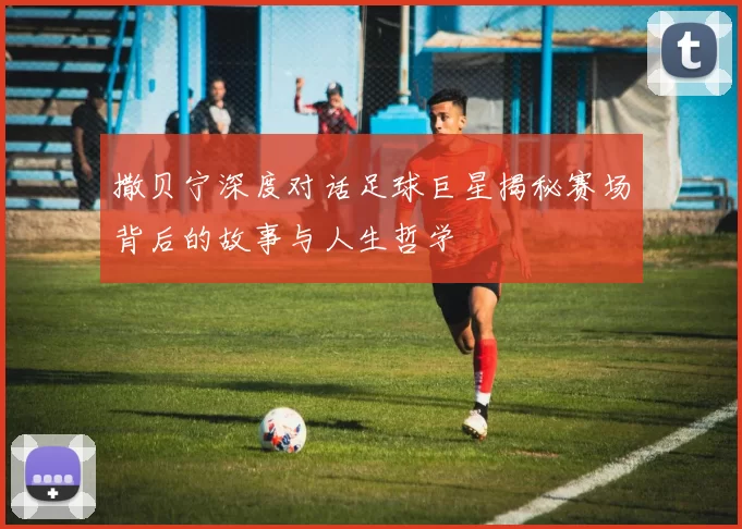 撒贝宁深度对话足球巨星揭秘赛场背后的故事与人生哲学
