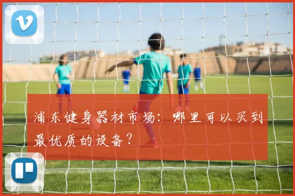 浦东健身器材市场：哪里可以买到最优质的设备？