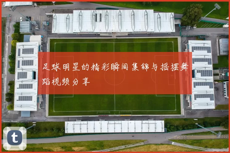 足球明星的精彩瞬间集锦与摇摆舞蹈视频分享