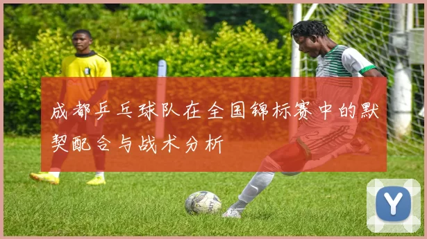 成都乒乓球队在全国锦标赛中的默契配合与战术分析