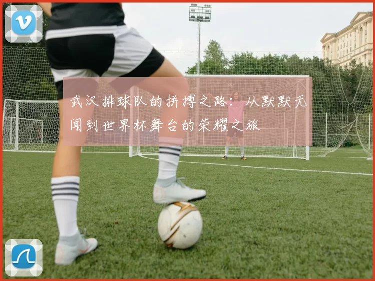 武汉排球队的拼搏之路：从默默无闻到世界杯舞台的荣耀之旅