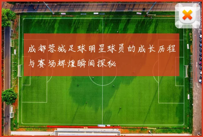 成都蓉城足球明星球员的成长历程与赛场辉煌瞬间探秘