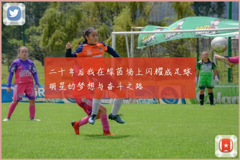 二十年后我在绿茵场上闪耀成足球明星的梦想与奋斗之路