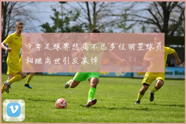 今年足球界悲痛不已多位明星球员相继离世引发哀悼