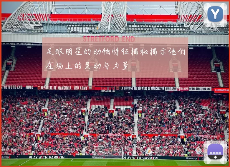 足球明星的动物特征揭秘揭示他们在场上的灵动与力量