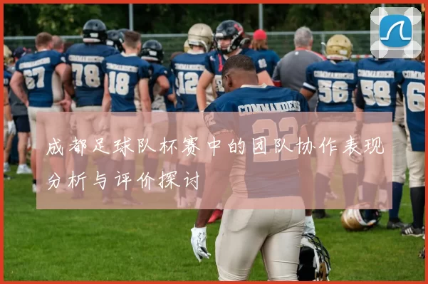 成都足球队杯赛中的团队协作表现分析与评价探讨