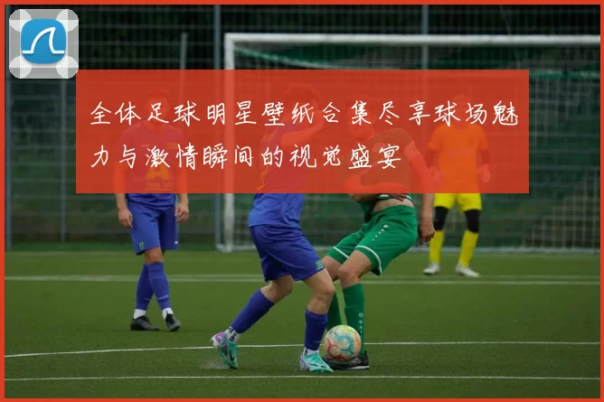 全体足球明星壁纸合集尽享球场魅力与激情瞬间的视觉盛宴