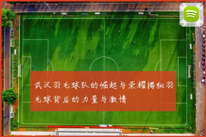 武汉羽毛球队的崛起与荣耀揭秘羽毛球背后的力量与激情