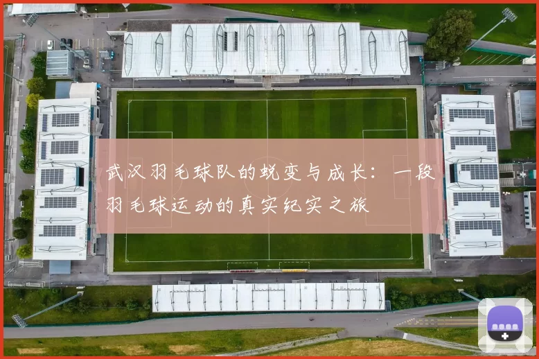 武汉羽毛球队的蜕变与成长：一段羽毛球运动的真实纪实之旅