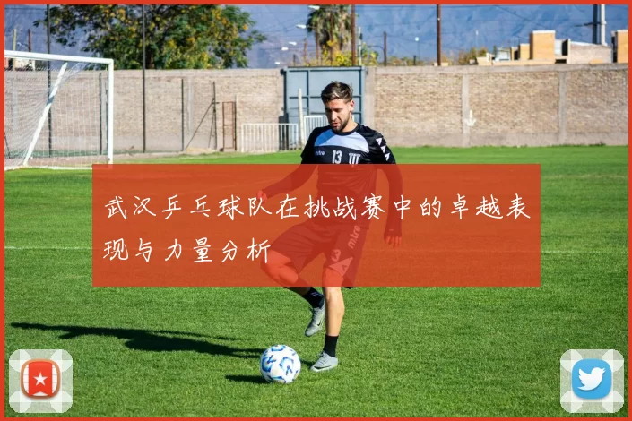 武汉乒乓球队在挑战赛中的卓越表现与力量分析