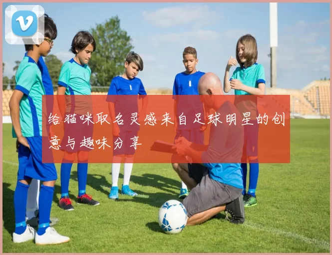给猫咪取名灵感来自足球明星的创意与趣味分享