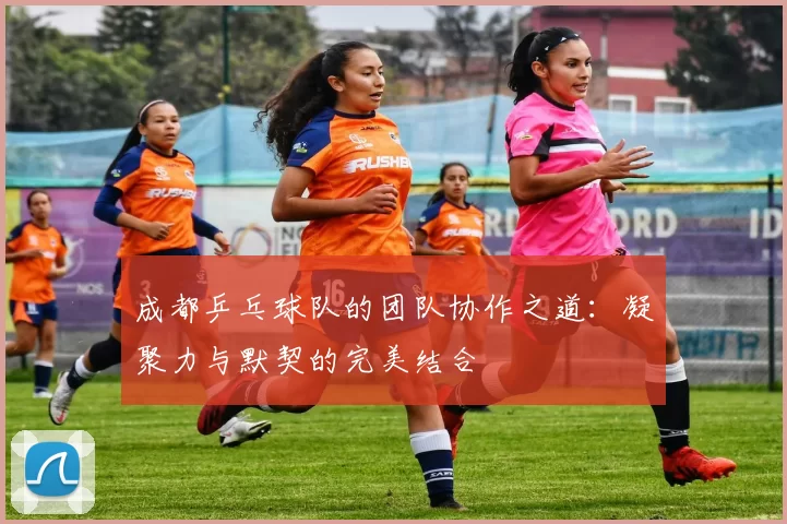 成都乒乓球队的团队协作之道：凝聚力与默契的完美结合