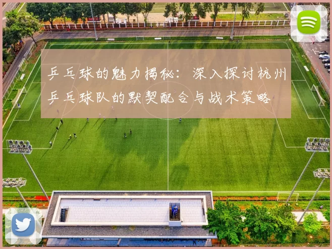 乒乓球的魅力揭秘：深入探讨杭州乒乓球队的默契配合与战术策略