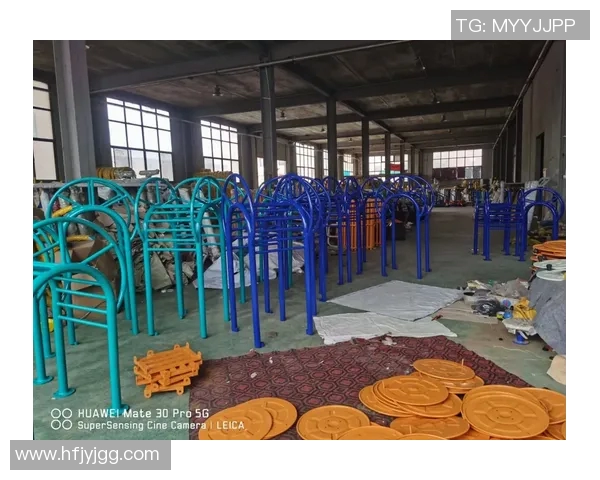 西安户外健身器材：西安地区户外健身器材的使用与市场需求